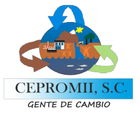 CEPROMI, S.C. · Gente de cambio
